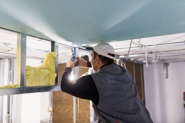 Best Insulation Installation Services in Van Buren, AR