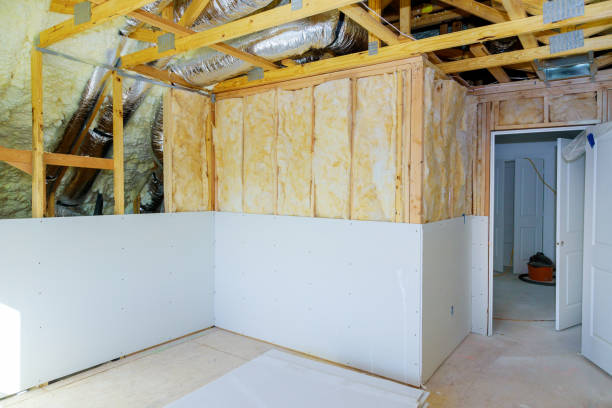 Best Insulation Installation Services in Van Buren, AR