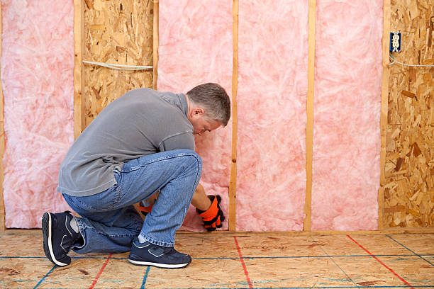 Best Commercial Insulation in Van Buren, AR